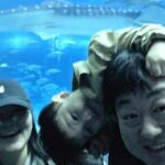 IMG_20260319_114340