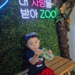 IMG_20260726_152632.jpg_compressed