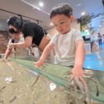 IMG_20260727_144811.jpg_compressed